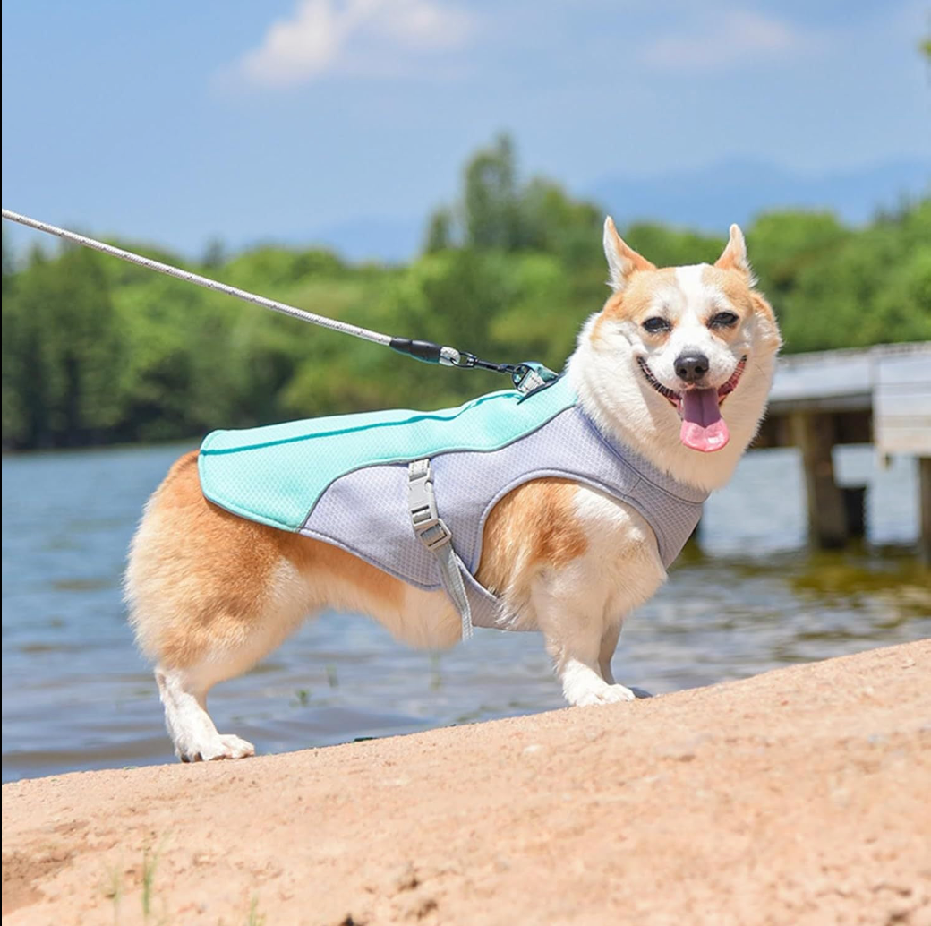 Fresh Chomps™ Summer Cooling Vest
