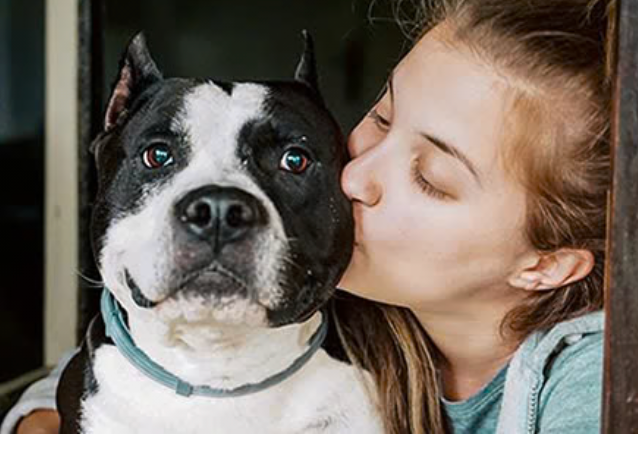 — Melissa R, Phoenix